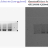 Hypersensitive ECL