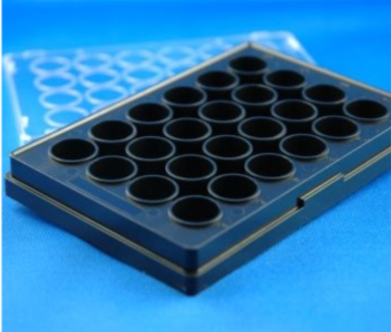20260315-2.webp Gas Permeable Plates 96 FC (3241-20)